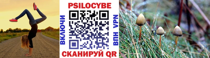 Галлюциногенные грибы GOLDEN TEACHER где можно купить Чехов
