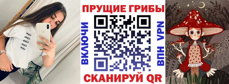 Галлюциногенные грибы мухоморы Чехов